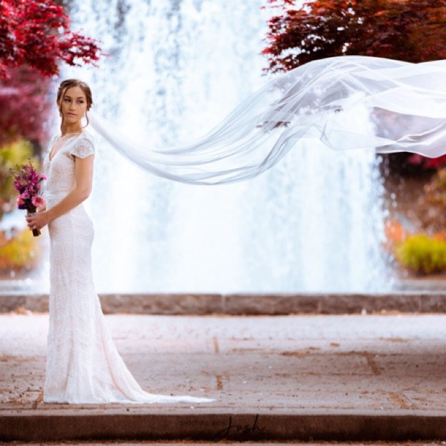 ieie Bridal Cathedral Length Wedding Veil with Lace Around Train VG3039