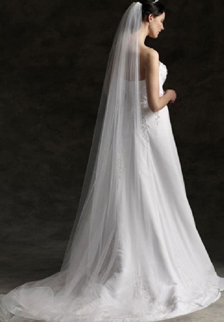 Lunss Long Tulle Chapel Length Bridal Veil Raw Cut Edge